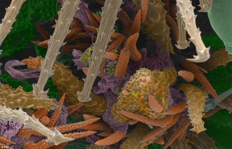 Vẻ đẹp b&iacute; ẩn thế giới v&ocirc; h&igrave;nh