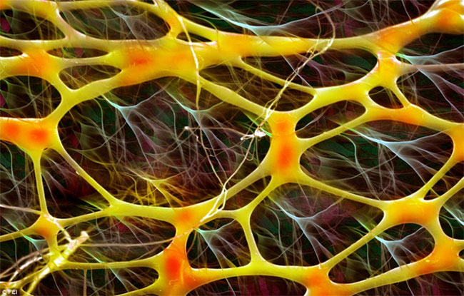 Vẻ đẹp b&iacute; ẩn thế giới v&ocirc; h&igrave;nh