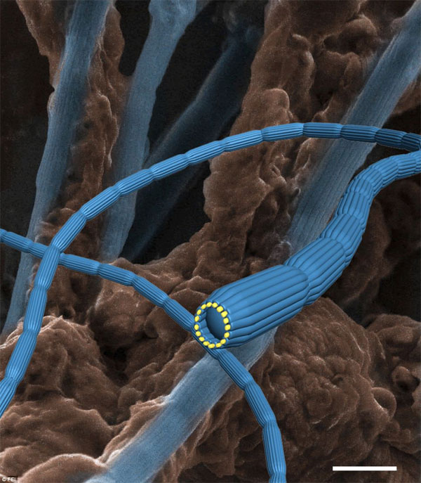 Vẻ đẹp b&iacute; ẩn thế giới v&ocirc; h&igrave;nh