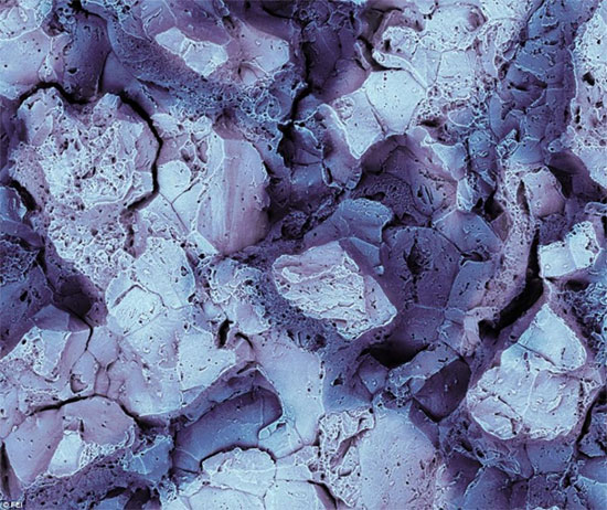 Vẻ đẹp b&iacute; ẩn thế giới v&ocirc; h&igrave;nh