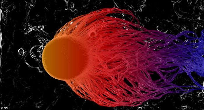 Vẻ đẹp b&iacute; ẩn thế giới v&ocirc; h&igrave;nh