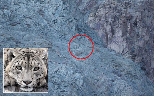 camouflage-snow-le-2869024k-2340-1396408