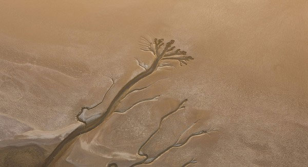 Chi&ecirc;m ngưỡng sa mạc cổ nhất thế giới