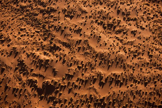 Chi&ecirc;m ngưỡng sa mạc cổ nhất thế giới