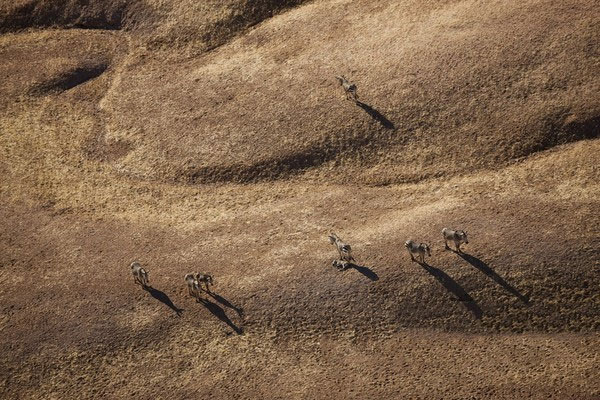 Chi&ecirc;m ngưỡng sa mạc cổ nhất thế giới